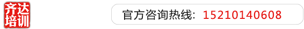 黄色尻逼免费齐达艺考文化课-艺术生文化课,艺术类文化课,艺考生文化课logo